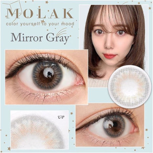MOLAK 1day Mirror Gray モラク ワンデー ミラーグレー